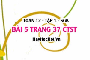 Bài 5 trang 37 Toán 12 tập 1 Chân trời sáng tạo